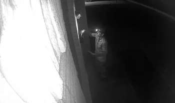 Letter Carrier with Flashlight